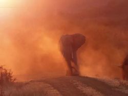 Karya Memukau Finalis Kontes Foto Natgeo Travel Kategori Alam