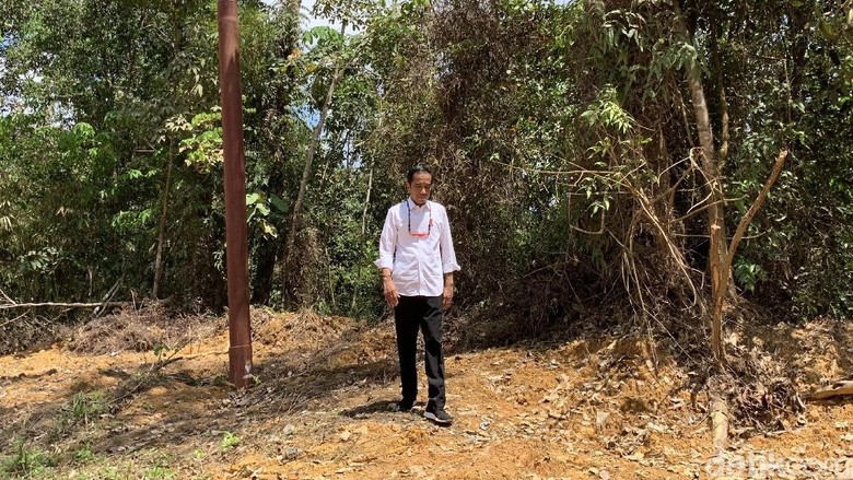 Tinjau Kelaikan Kalteng Jadi Ibu Kota RI, Jokowi: Nemu Feeling Tinjau Kelaikan Kalteng Jadi Ibu Kota RI, Jokowi: Nemu Feeling