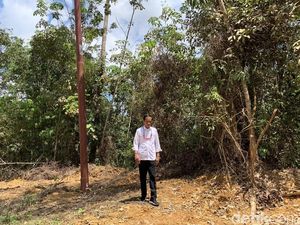 Tinjau Kelaikan Kalteng Jadi Ibu Kota RI, Jokowi: Nemu Feeling
