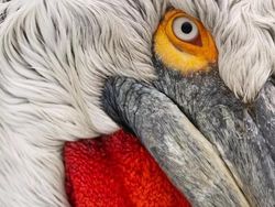 Karya Memukau Finalis Kontes Foto Natgeo Travel Kategori Alam