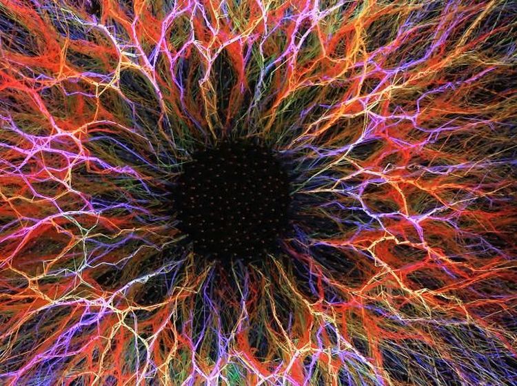 Terpukau Instalasi String Art yang Kece Abis