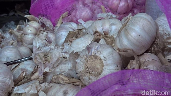 bawang putih