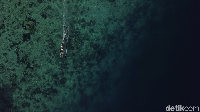 Selain memiliki pesona air yang jernih, dan terumbu karang yang bisa dilihat dengan jelas dari dermaga. Inilah perairan khas Pulau Papagarang (Muhammad Zaky Fauzi Azhar/detikcom)
