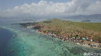 Ada tiga wisata unggulan di Papagarang. Busan, yakni Bukit Santai yang ada di dermaga, hutan bakau terletak di bagian pojok timur desa dan lokasi snorkeling ada di sebelah barat desa (Muhammad Zaky Fauzi Azhar/detikcom)