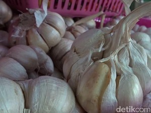 Soal Hoax Bawang Putih Obati Virus Corona, Kemenkes Singgung Impor Bawang
