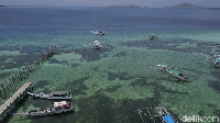 Dulu nama tempat ini adalah Pulau Keramat, berubah menjadi Papagarang sesudah masuk penduduk baru. Nama itu berasal dari sebutan lokasi penggaraman ikan, yakni panggaramang (Muhammad Zaky Fauzi Azhar/detikcom)