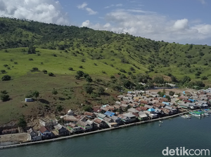 Tolong Pak Jokowi, Pulau Komodo Butuh SMA