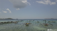 Pulau Keramat sebagai nama asli Papagarang diambil dari Bukit Keramat yang ada di tengah-tengah pulau (Muhammad Zaky Fauzi Azhar/detikcom)