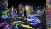Ketika pengunjung menyentuh binatang maka bunga-bunga akan menyebar. Atau ketika menyentuh bagian dinding, bakal muncul bunga-bunga bermekaran. Foto: SGE/ teamLab/ Istimewa
