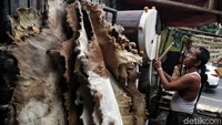 Perajin bedug di kawasan Tanah Abang kebanjiran orderan selama bulan Ramadhan. Setiap hari para perajin membuat bedug beragam ukuran sesuai pesanan atau untuk dijajakan kepada pembeli.