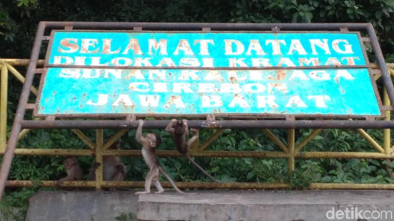 Ngabuburit Bareng Monyet Di Petilasan Sunan Kalijaga Cirebon Ngabuburit Bareng Monyet Di Petilasan Sunan Kalijaga Cirebon