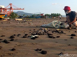Aktivis Lingkungan Bersihkan Batu Bara Berserakan di Pantai Cipatuguran