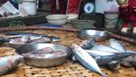 Lucunya Kucing Berkostum Avengers yang Pintar Jualan Daging hingga Sayuran