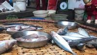 Waduh, alih profesi kini Iron Man sibuk jualan ikan di pasar. Pintarnya Cho, ia menjaga dagangannya dengan baik. Ia tak tergoda dengan ikan-ikan di depannya. Foto: instagram @dog1501