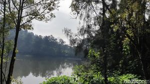 Foto: Melihat Ranupani yang Sudah Buka Buat Para Pendaki Semeru