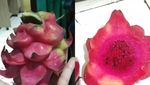 Hiks! Begini Kumpulan Kisah Miris Netizen dengan Makanan Pesanannya