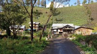 Pendakian Gunung Semeru akan dibuka kembali 12 Mei 2019 ini. Hiruk pikuk pendaki tak ada, hanya warga Desa Ranupani yang terlihat saat itu (Masaul/detikcom)