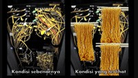 Waduh, ini sih udah gagal fokus banget. Tumpukan kabel fiber optik terlihat seperti mie mulur yang diangkat pakai sumpit. Foto: Istimewa  