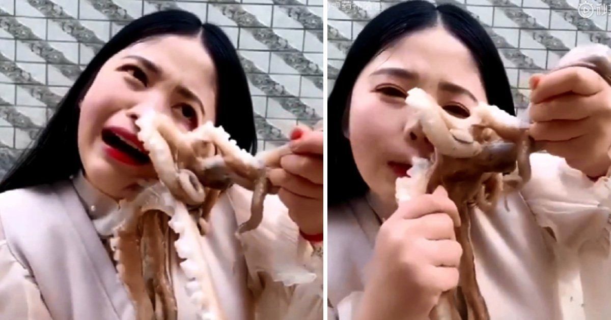 Mukbang Gurita Hidup