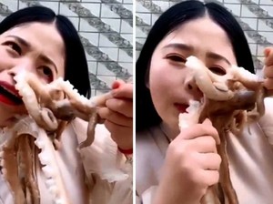Meski Berbahaya, Gurita Hidup Jadi Menu 5 Video Mukbang Ekstrem