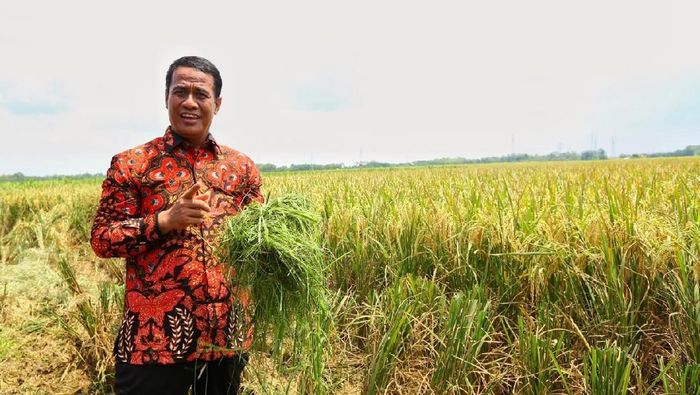 Mentan Amran Sulaiman/Foto: Dok Kementan Mentan Amran Sulaiman/Foto: Dok Kementan