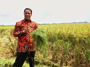 Deretan 13 Petak Tanah Punya Amran Sulaiman yang Mau Dilantik Jadi Mentan (Lagi)