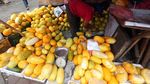 Manisnya Bisnis Timun Suri di Bulan Suci