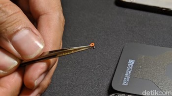 Baut kuning ini salah satu indikator ponsel Xiaomi sudah pernah dibongkar atau belum. Foto: Adi Fida Rahman/detikINET