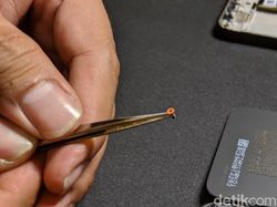 Mempreteli Xiaomi Redmi Note 7