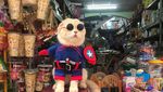 Lucunya Kucing Berkostum Avengers yang Pintar Jualan Daging hingga Sayuran