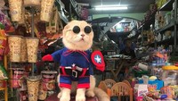 Tampil keren dengan kacamata hitam, Cho sedang menyamar jadi Kapten Amerika nih. Btw, Kaptem Amerika kok sibuk jaga toko kelontong? Foto: instagram @dog1501