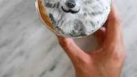 Berbagai hewan buas mulai dari harimau, srigala hingga singa hadir di atas secangkir kopi. Ia juga menggunakan paduan warna sesuai warna hewan buas yang dibuat. Foto: instagram periperipeng