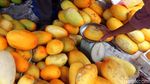 Manisnya Bisnis Timun Suri di Bulan Suci
