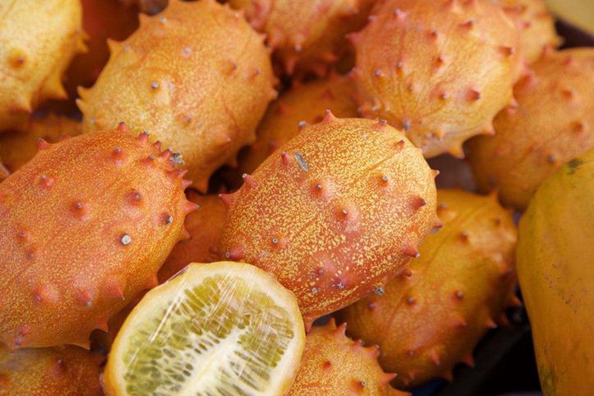 Ternyata Buah yang Dipetik Thanos di Avengers: Endgame Kaya