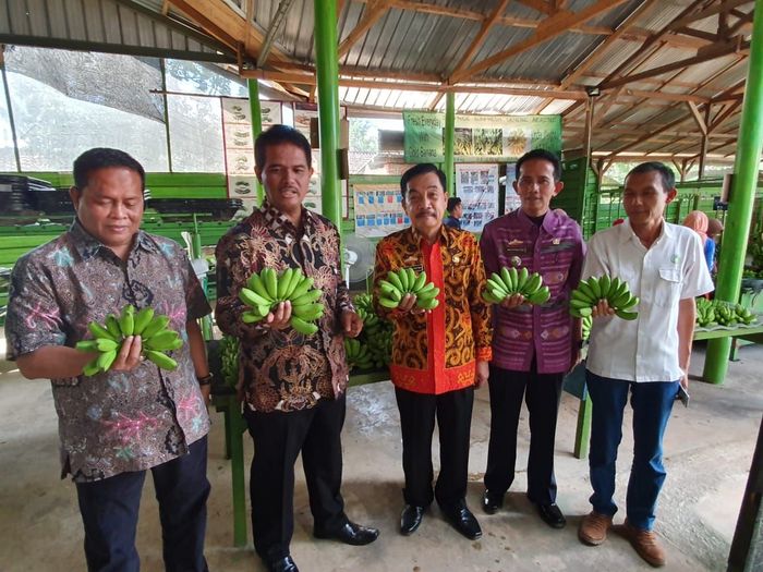 Foto: Dok. Kementan Foto: Dok. Kementan