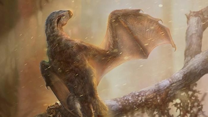 Rekaan ilustrasi dinosaurus dengan sayap seperti kelelawar. (Foto: Dok. Chung-Tat Cheung) Rekaan ilustrasi dinosaurus dengan sayap seperti kelelawar. (Foto: Dok. Chung-Tat Cheung)