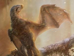 Rupanya Dinosaurus Ada yang Punya Sayap Mirip Kelelawar