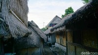 Jika perempuan menenun, maka laki-laki Desa Sade kesehariannya berladang. Sejak disentuh wisata, mereka pun punya sampingan menjadi guide untuk turis. (Syanti/detikcom)