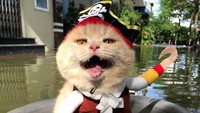 Kali ini Cho sedang tidak bertugas jadi Avengers. Ia tengah sibuk jadi bajak laut nih. Sudah kayak Kapten Jack Sparrow belum? Foto: instagram @dog1501