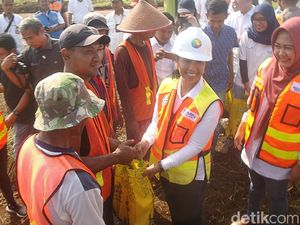Strategi Pemerintah Dongkrak Ekonomi Daerah Lewat BUMN