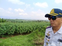 Bandara Sukabumi di Tengah Kebun Singkong, LRT Siap Beroperasi