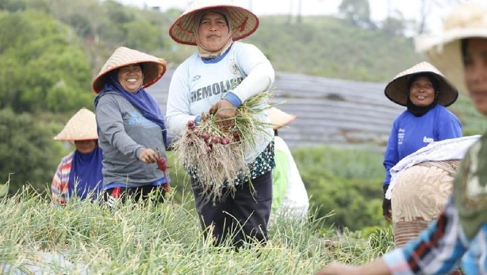 Foto: kementan Foto: kementan