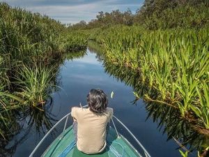 #Kalimantan Ramai di Twitter, Ada Apa Ya?