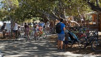 Hal yang bisa dilakukan di Rottnest Island adalah naik sepeda. Naik sepeda adalah kegiatan favorit di Rottnest Island (Masaul/detikcom)