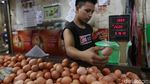 Harga Telur Betah di Rp 26.000/Kg