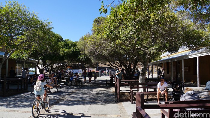 Pulau Rottnest di Australia Barat