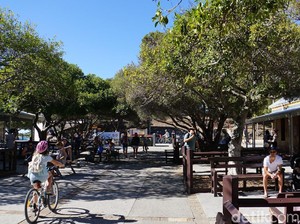 Pulau Rottnest, Bali-nya Australia Barat dengan Satwa Paling Bahagia di Dunia