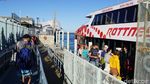 Foto: Pulau Cantik dan Hewan Ajaib di Australia Barat