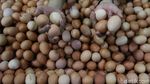 Harga Telur Betah di Rp 26.000/Kg