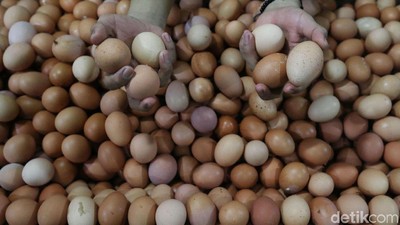 Harga Telur Betah di Rp 26.000/Kg